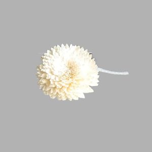 Sola Flower #1 Diffuser Reed 8cm