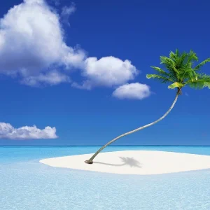 Coconut Pineapple & Vanilla The Scent Of Summer