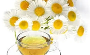 Chamomile