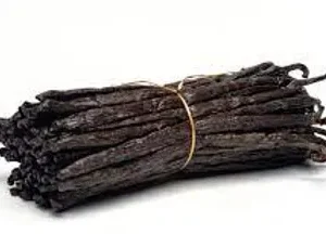 Vanilla Bean
