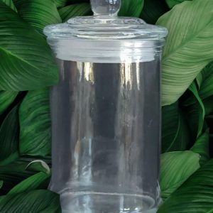 Danube Style Knob Lid- Clear